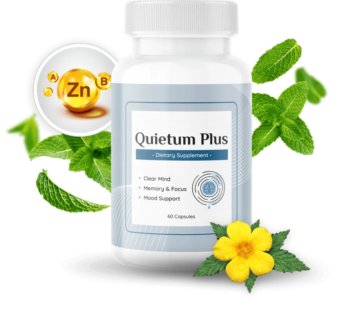 Two bottles of Quietum Plus dietary supplement